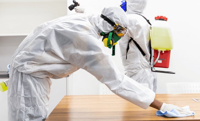 Professional cleaners cleaning office infected by COVID-19